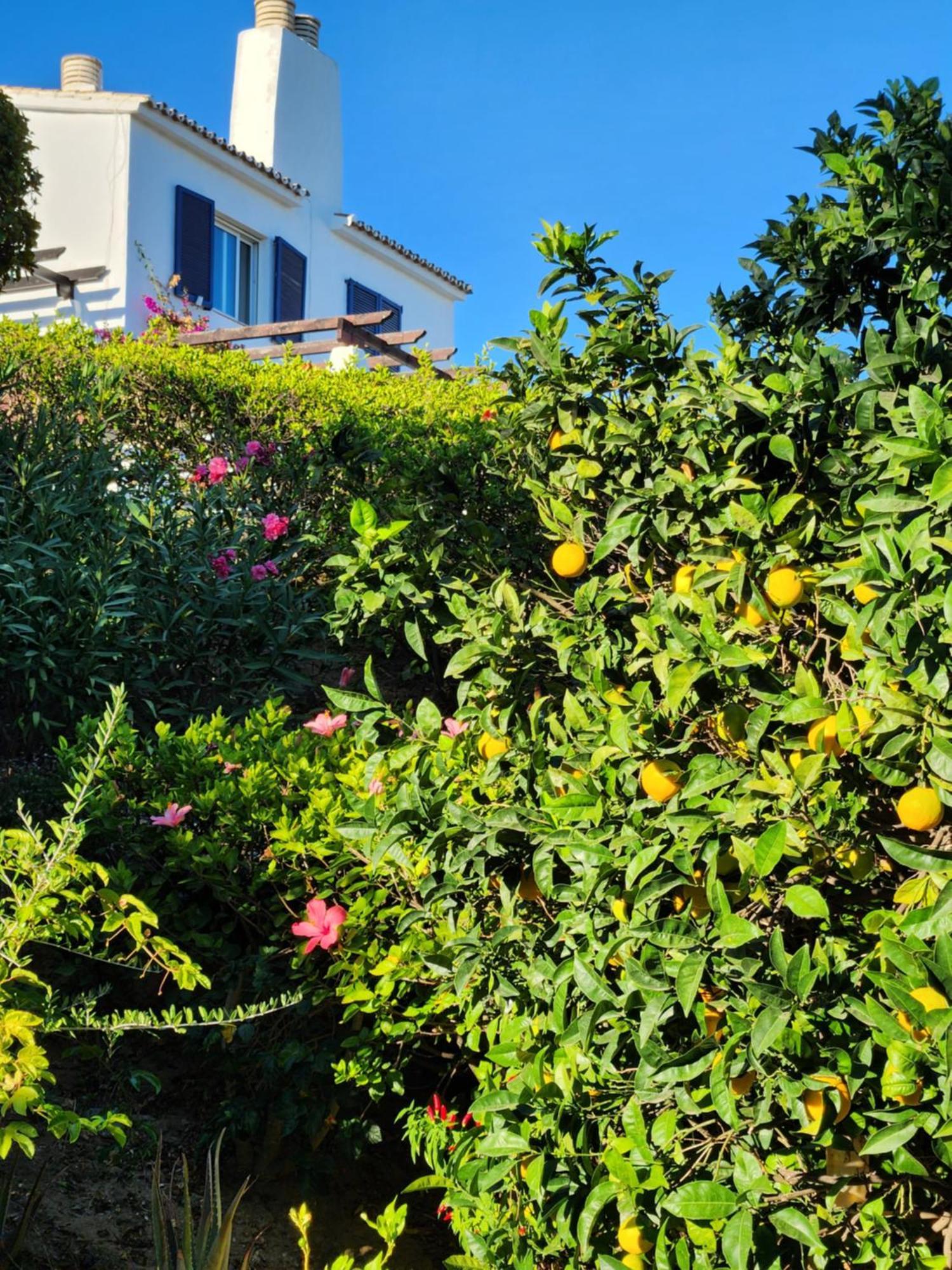 Elena Flat A Little Paradise Right On The Beach Sitio de Calahonda Exterior photo